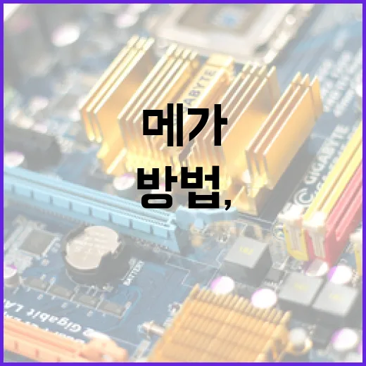 메가무장조 제대로 굴리는 방법, 내구형 세팅부터 상대법까지 - 요약
