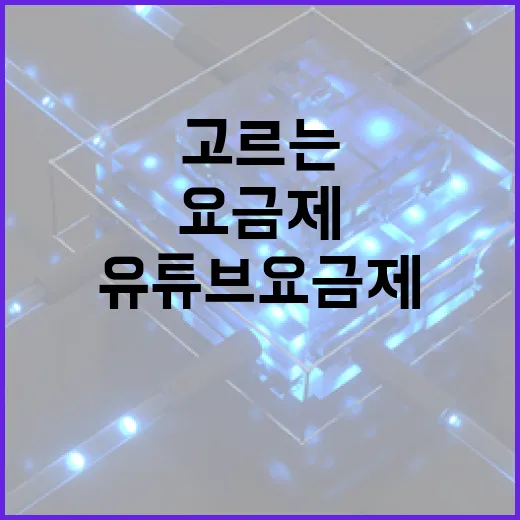유튜브요금제 고르는 방법, PC와 윈도우 사용자 기준으로 이렇게 보면 됩니다 - 요약