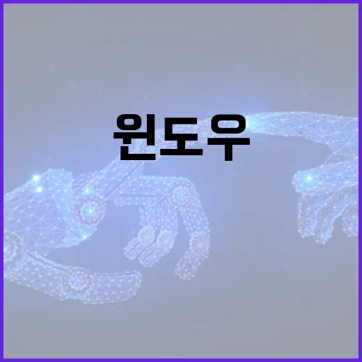 웨이브 PC에서 끊김 없이 보는 방법, 윈도우 설정부터 브라우저 점검까지 - 요약