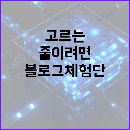 블로그체험단 제대로 고르는 방법, 시간 낭비 줄이려면 이렇게 보면 됩니다 - 요약