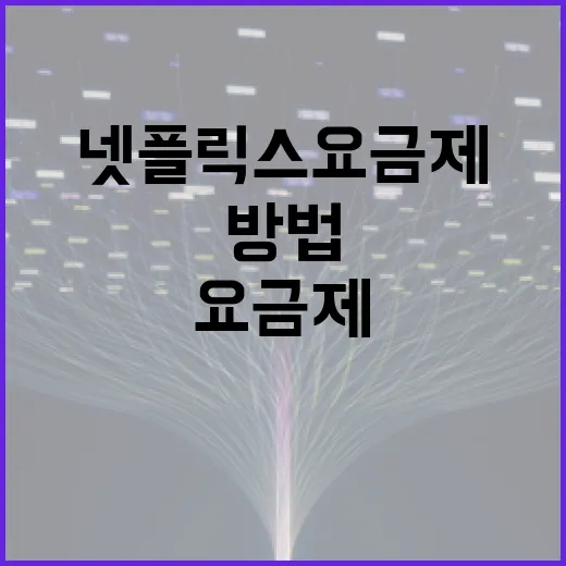 넷플릭스요금제 고르는 방법, TV와 가족 구성 기준으로 이렇게 보면 됩니다 - 요약