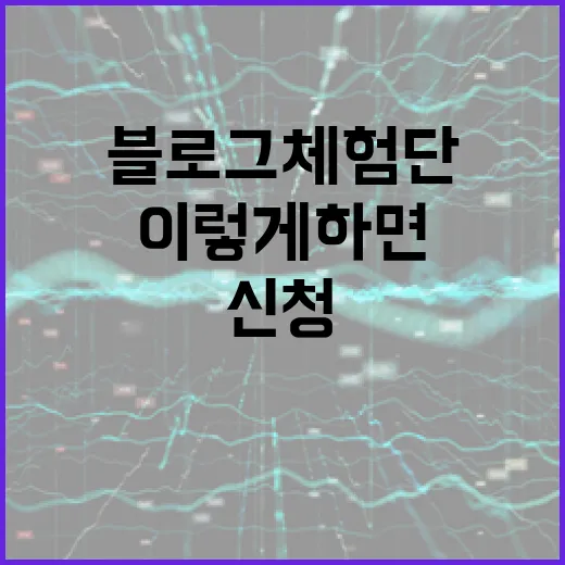 블로그체험단 제대로 신청하고 오래 가려면 이렇게 하면 됩니다 - 요약