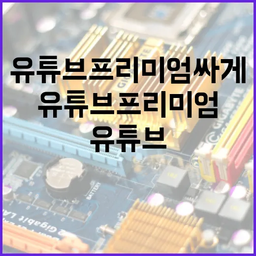 유튜브프리미엄싸게 쓰려면 이렇게 고르세요 - 요약