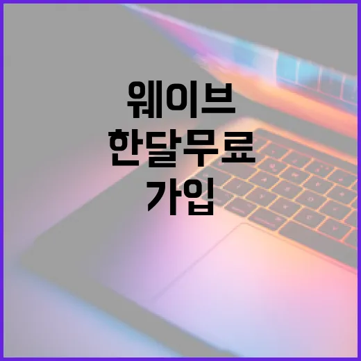 웨이브한달무료 찾는 방법, 가입 전에 확인할 것들 - 요약