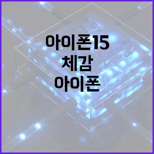 아이폰15 제대로 고르는 방법, 숫자보다 체감 차이부터 보면 쉽습니다 - 요약