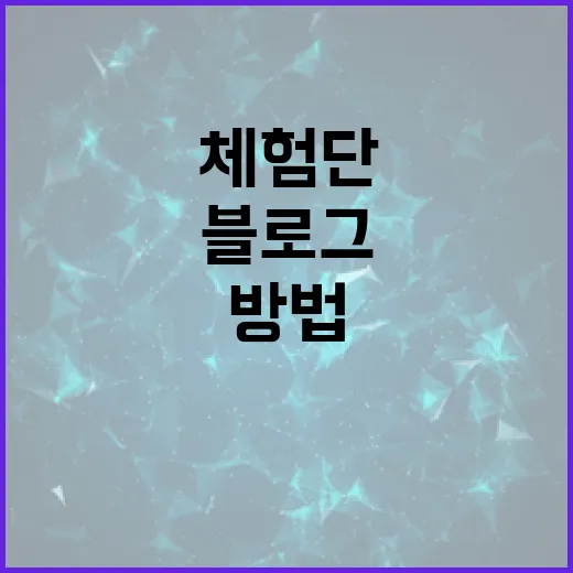 블로그체험단 제대로 고르는 방법, 시간 낭비 줄이려면 이렇게 보세요 - 요약