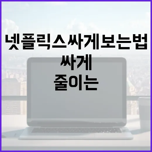 넷플릭스싸게보는법, 화질 손해 덜 보고 요금 줄이는 방법 - 요약