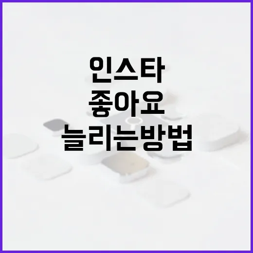 인스타좋아요 늘리는 방법, 숫자보다 반응 구조부터 잡으려면 이렇게 - 요약