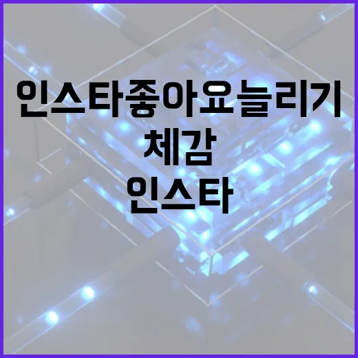인스타좋아요늘리기 하려면 이렇게 세팅해야 체감됩니다 - 요약