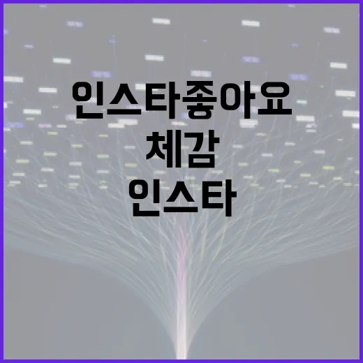 인스타좋아요 늘리려면 이렇게 세팅하세요: 숫자보다 체감 반응 보는 방법 - 요약