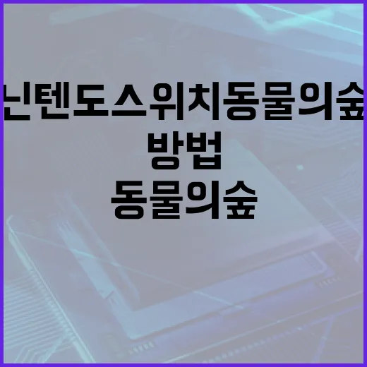 닌텐도스위치동물의숲 처음 시작하는 방법, 섬 세팅부터 저장 공간까지 이렇게 잡으면 편합니다 - 요약