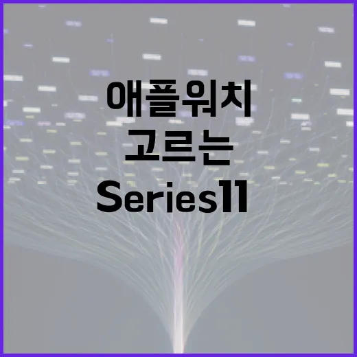 애플워치가격 보고 고르는 방법, SE 3·Series 11·Ultra 3 차이는 이렇게 보면 됩니다 - 요약