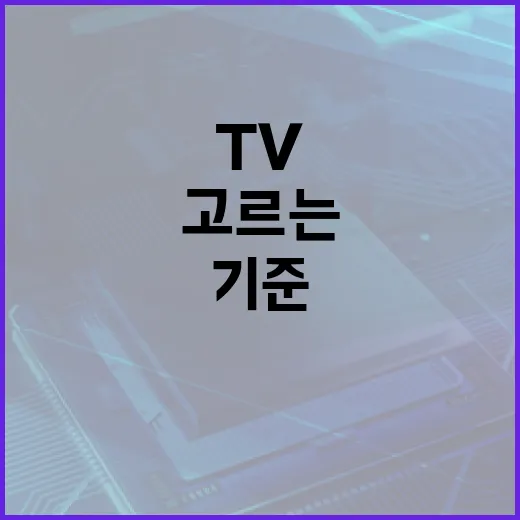 디즈니요금제 고르는 방법, TV·PC 화질 기준으로 이렇게 보면 됩니다 - 요약