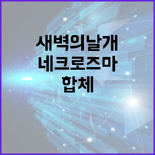 네크로즈마 새벽의 날개 제대로 키우는 방법, 합체부터 기술 세팅까지 - 요약