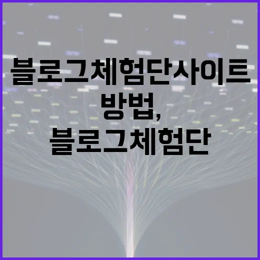 블로그체험단사이트 제대로 고르는 방법, 시간 낭비 줄이려면 이렇게 보세요 - 요약
