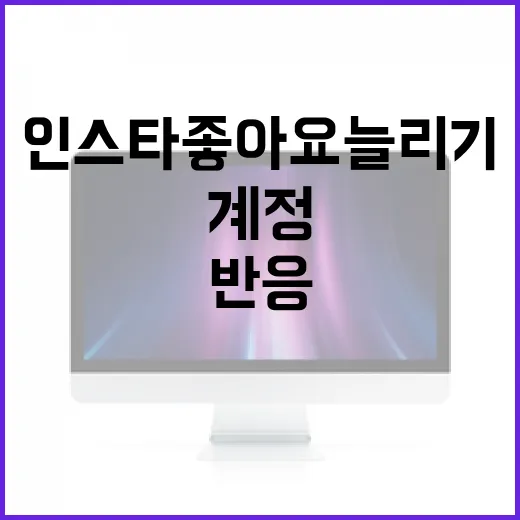 인스타좋아요늘리기, 숫자보다 반응 좋은 계정으로 만드는 방법 - 요약
