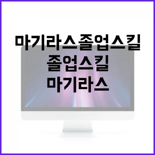 마기라스 졸업스킬 맞추는 방법, 레이드용은 이렇게 잡으면 됩니다 - 요약