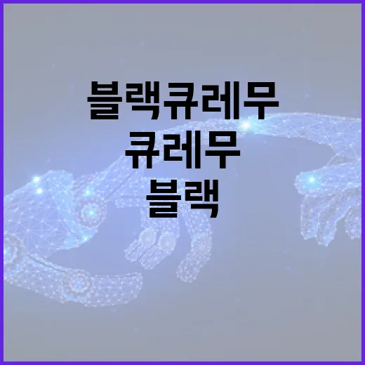 블랙큐레무 성능 제대로 쓰는 방법, 초보자가 헷갈리는 세팅 기준 - 요약