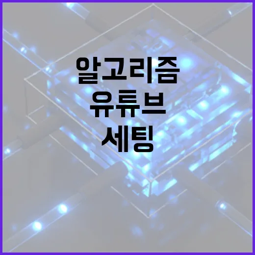 유튜브알고리즘 타려면 이렇게 세팅하는 방법 - 요약