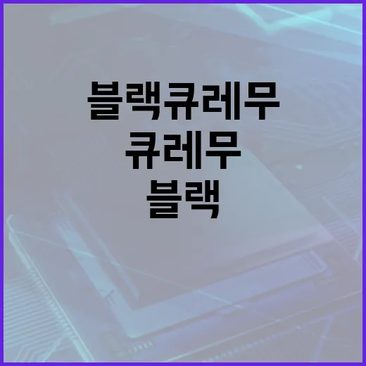 블랙큐레무를 제대로 쓰려면 이렇게 세팅하면 됩니다 - 요약