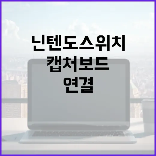 닌텐도 스위치를 PC 모니터와 캡처보드로 연결하는 방법 - 요약