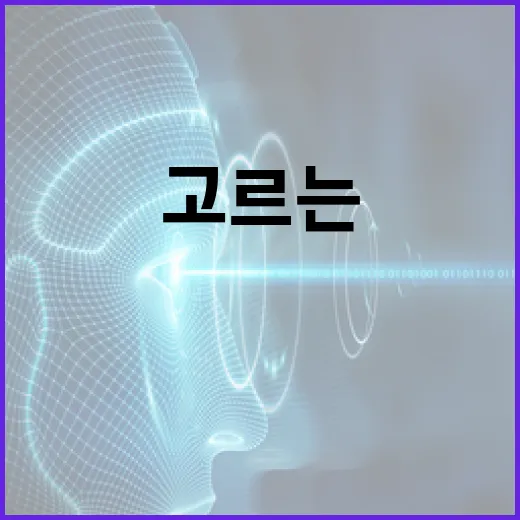 KT넷플릭스요금제 제대로 고르는 방법, 가족 시청·PC 화질 기준으로 보면 다릅니다 - 요약