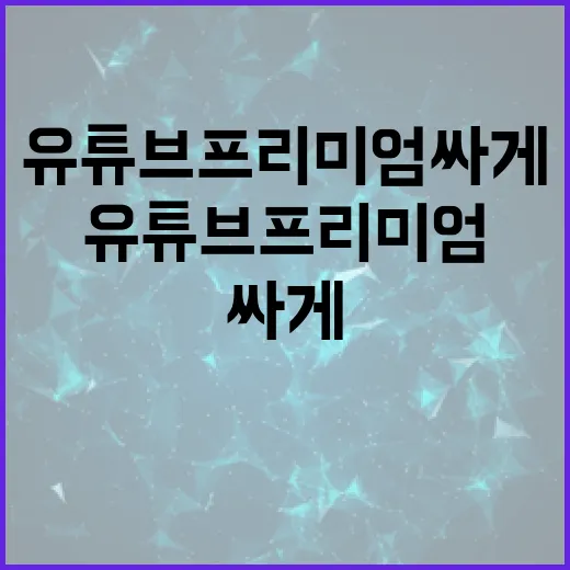 유튜브프리미엄싸게 쓰려면 이렇게 확인하세요 - 요약