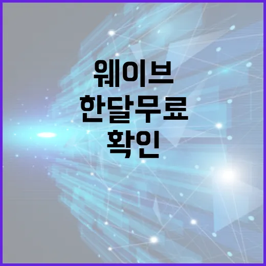 웨이브한달무료로 시작하려면 이렇게 확인하면 됩니다 - 요약