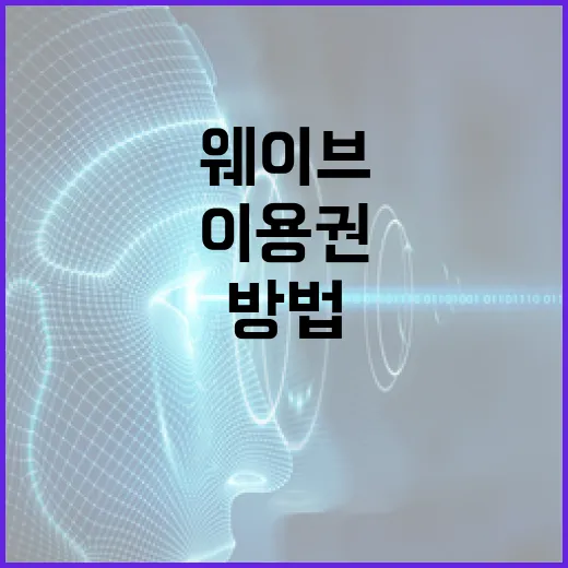 웨이브이용권 고르는 방법, TV 연결·동시시청 기준으로 이렇게 보면 됩니다 - 요약