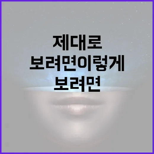 웹하드 제대로 쓰는 방법, 속도와 안전성에서 손해 안 보려면 이렇게 - 요약