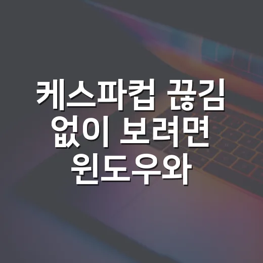 케스파컵 끊김 없이 보려면 윈도우와 PC를 이렇게 맞추는 방법 - 요약