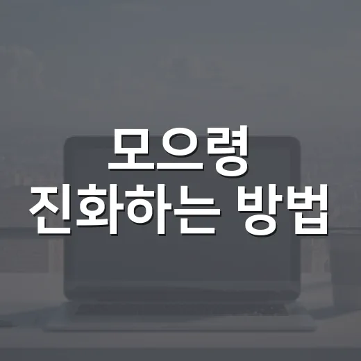 모으령 진화하는 방법, 코인 999개 모으는 루트와 실수 줄이는 순서 - 요약
