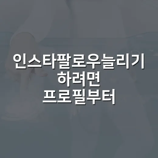 인스타팔로우늘리기 하려면 프로필부터 콘텐츠 흐름까지 이렇게 잡으세요 - 요약