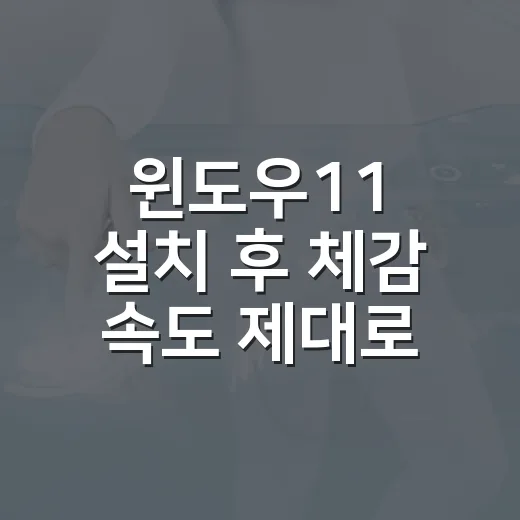 윈도우11 설치 후 체감 속도 제대로 잡는 방법 - 요약