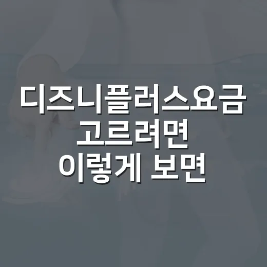 디즈니플러스요금 고르려면 이렇게 보면 됩니다 - 요약