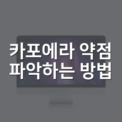 카포에라 약점 파악하는 방법, 화려한 움직임 뒤에 숨은 빈틈 - 요약