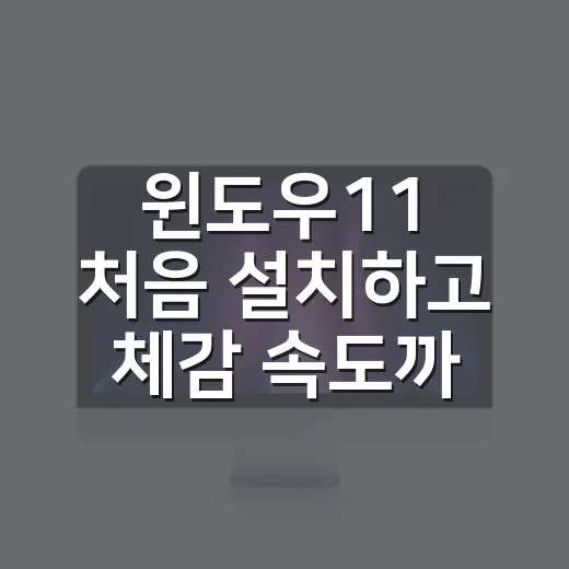 윈도우11 처음 설치하고 체감 속도까지 잡는 방법 - 요약
