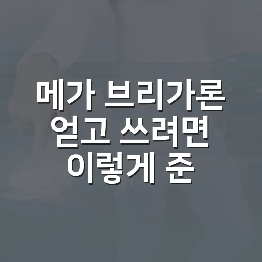메가 브리가론 얻고 쓰려면 이렇게 준비하면 됩니다 - 요약