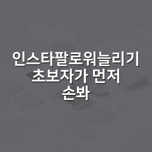 인스타팔로워늘리기 초보자가 먼저 손봐야 할 세팅과 운영 방법 - 요약