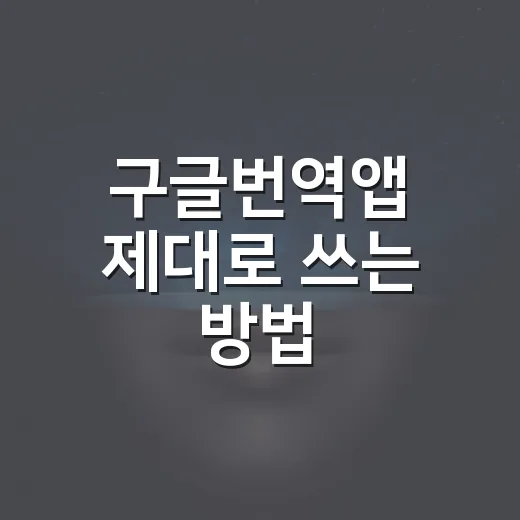 구글번역앱 제대로 쓰는 방법, 해외 매뉴얼과 오류 메시지 번역할 때 세팅하는 순서 - 요약