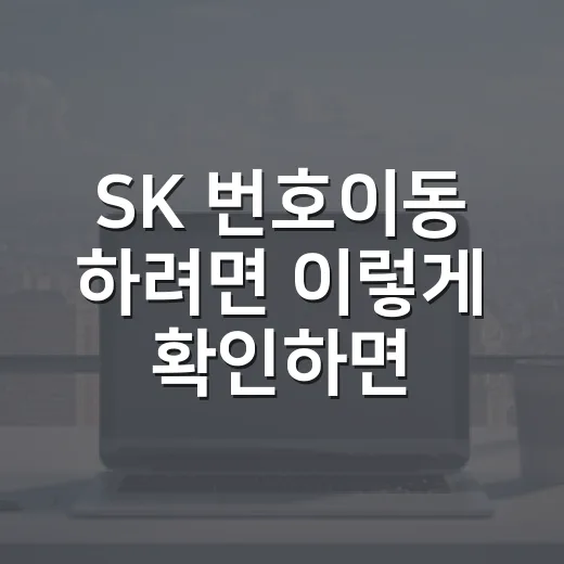 SK 번호이동 하려면 이렇게 확인하면 됩니다 - 요약