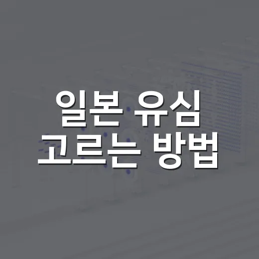 일본 유심 고르는 방법, 공항에서 헤매지 않으려면 이렇게 준비하세요 - 요약