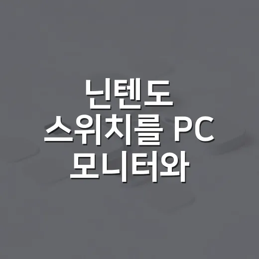 닌텐도 스위치를 PC 모니터와 윈도우에서 쓰는 방법 - 요약