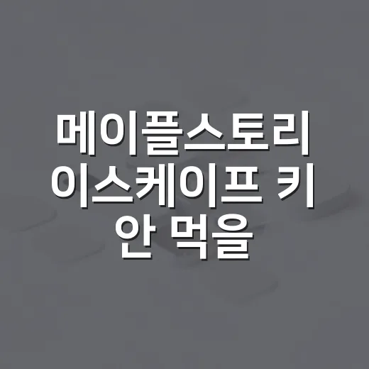 메이플스토리 이스케이프 키 안 먹을 때 확인하는 방법 - 요약