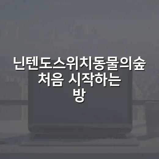 닌텐도스위치동물의숲 처음 시작하는 방법, 저장공간부터 세이브 이전까지 이렇게 잡으면 편합니다 - 요약