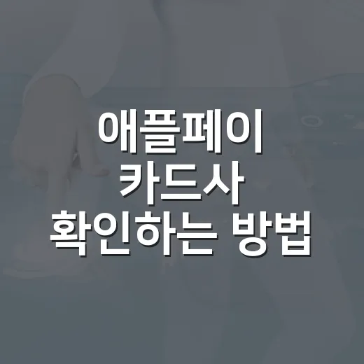 애플페이 카드사 확인하는 방법, 카드 등록 전 이렇게 보세요 - 요약