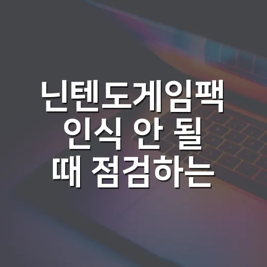 닌텐도게임팩 인식 안 될 때 점검하는 방법, 오래 쓰려면 이렇게 관리하세요 - 요약