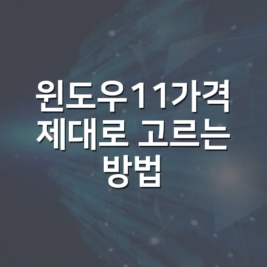 윈도우11가격 제대로 고르는 방법, 조립PC에는 이렇게 사면 됩니다 - 요약