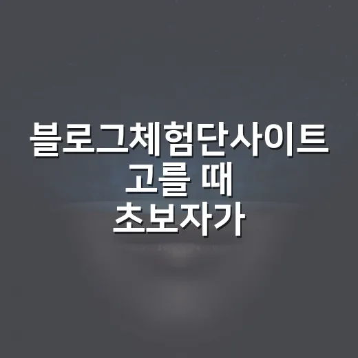 블로그체험단사이트 고를 때 초보자가 먼저 확인하는 방법 - 요약