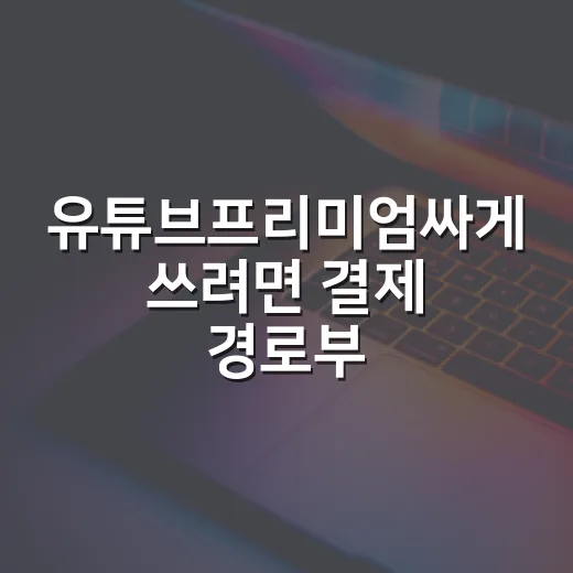 유튜브프리미엄싸게 쓰려면 결제 경로부터 바꾸는 방법 - 요약